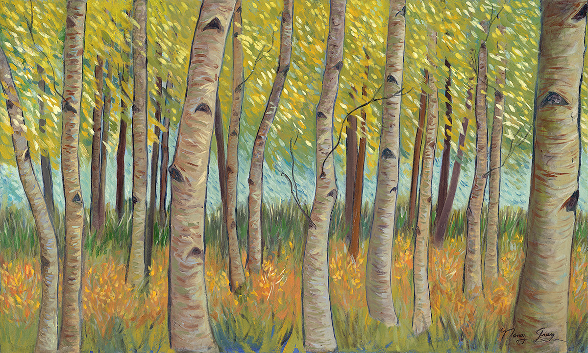 Aspen Grove — Canvas Print
