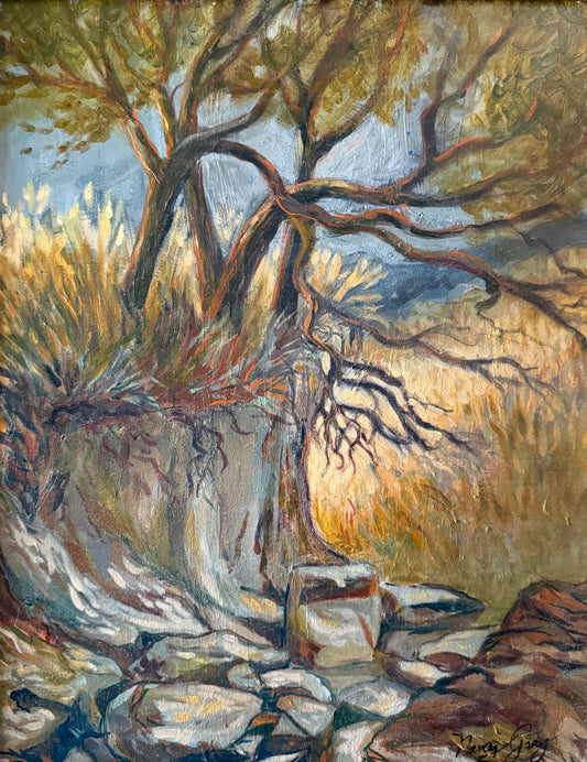 Oil painting of a twisted cedar tree growing among rocks and tall golden grasses in the Texas Hill Country, illuminated by warm early morning light.