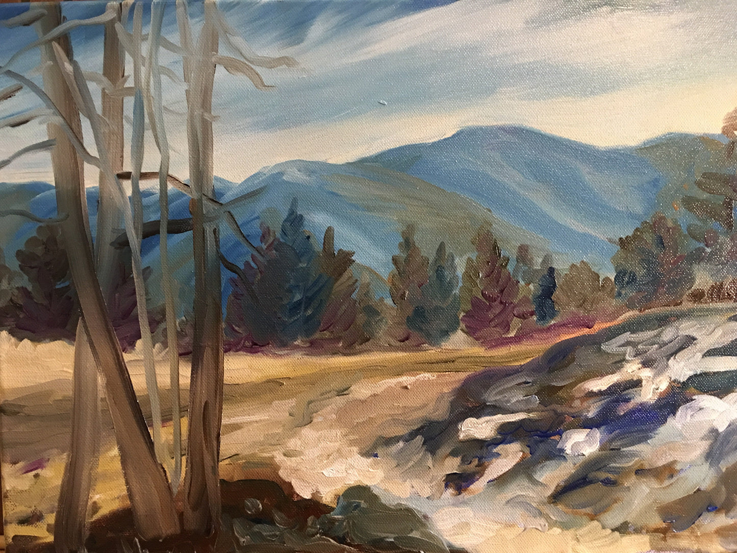 Snow-covered trail through granite cliffs and pine trees in the Carson National Forest — oil on canvas by Nancy Gray.