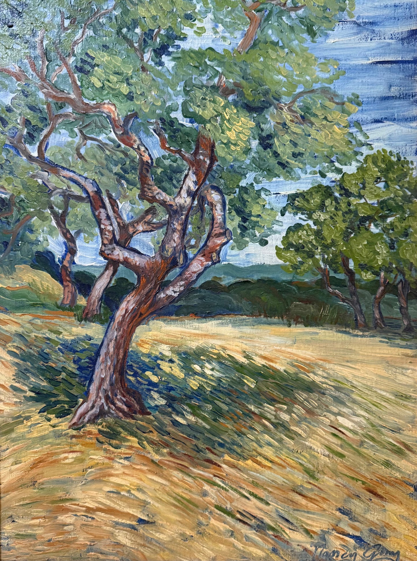 Impressionistic oil painting of twisting Texas oak tree standing in golden grassland beneath a blue sky, with expressive brushwork and long shadows stretching across the landscape.